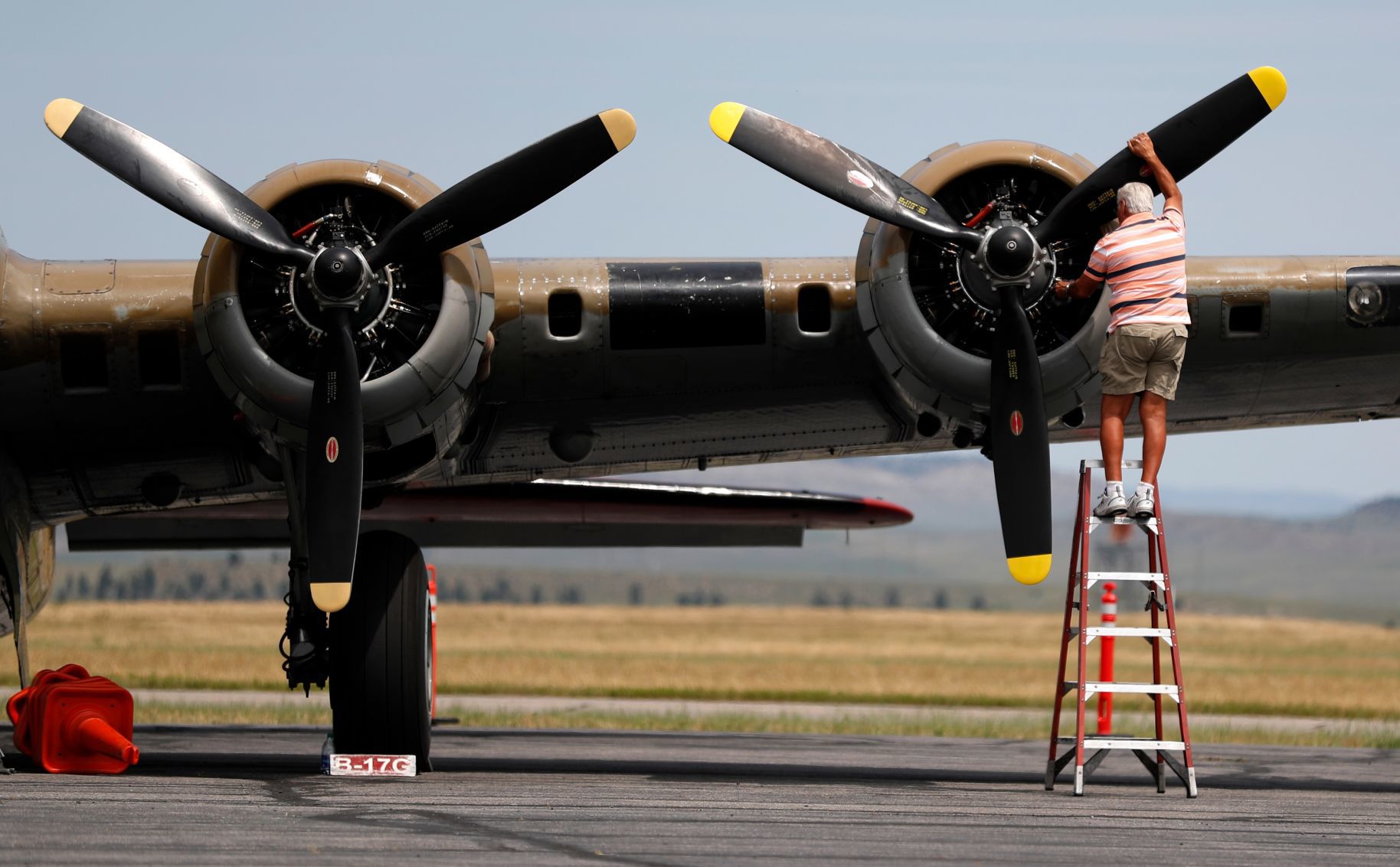 Wings of Freedom
